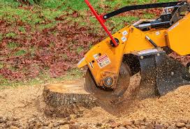 Best Soil Testing and Treatment  in Fairmount, IN